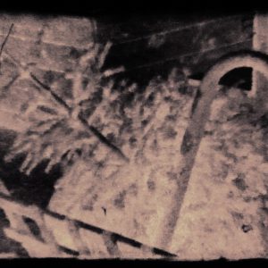 Christmas tree in the street, shot on Super8