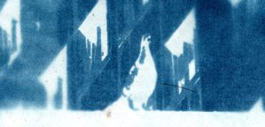 Cyanotype Print of a Pigeon on the edge of the train station.