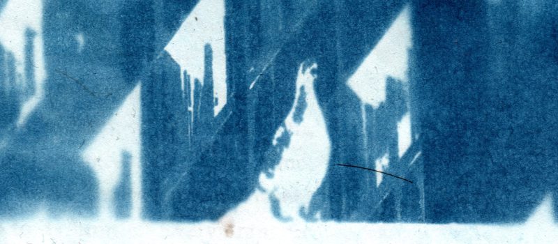 Cyanotype Print of a Pigeon on the edge of the train station.